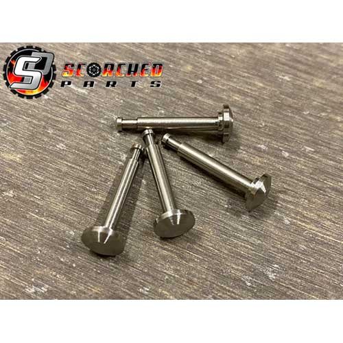 Arrma Titanium Lower Suspension Pin Set